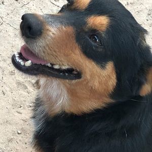 Meet your Posher, Lee